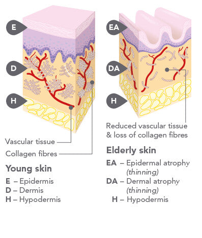 pureHA - hydrates your skin from within