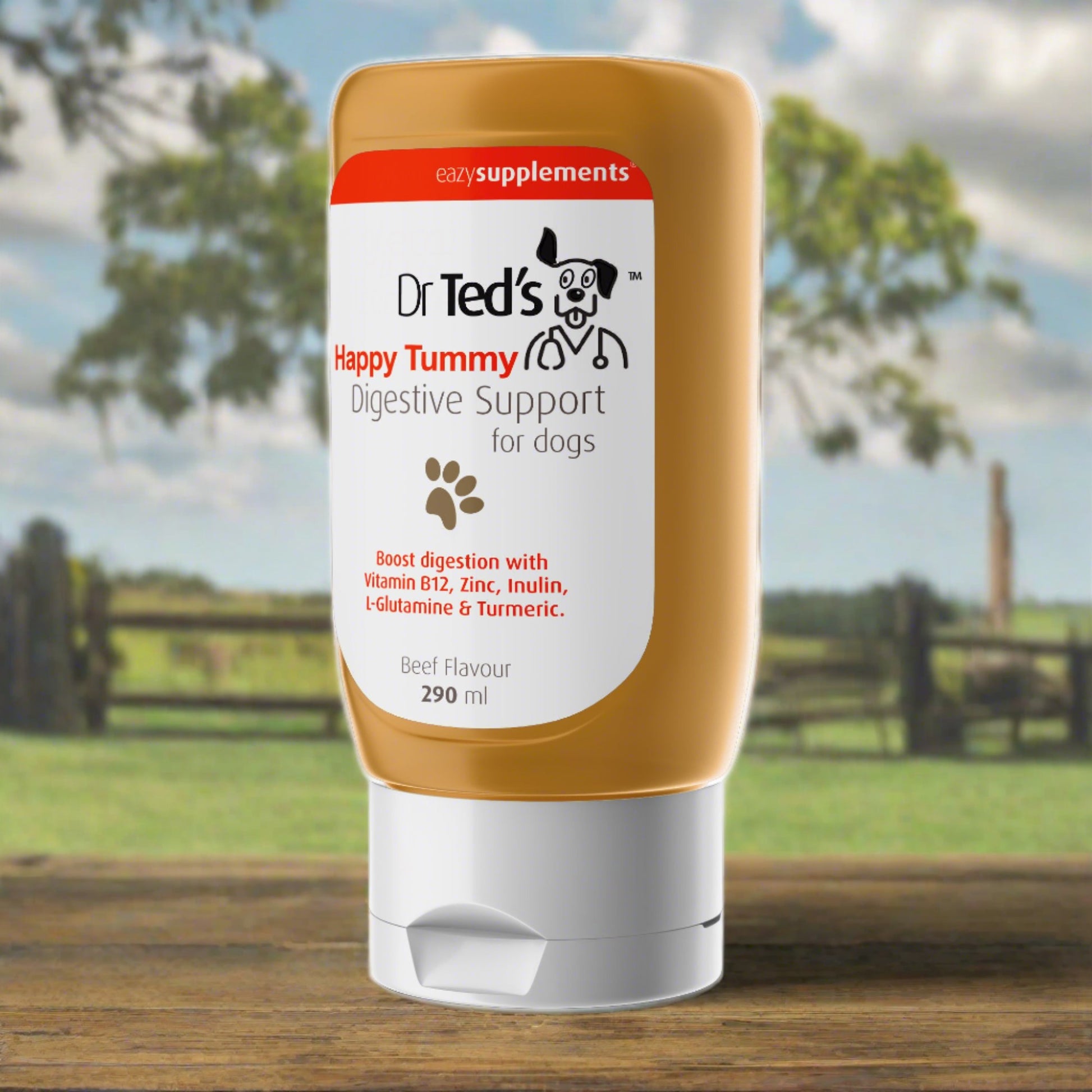 Dr Ted's Happy Tummy digestive support for dogs