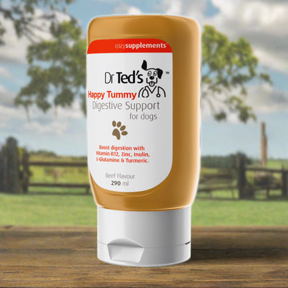 Dr Ted's Happy Tummy digestive support for dogs