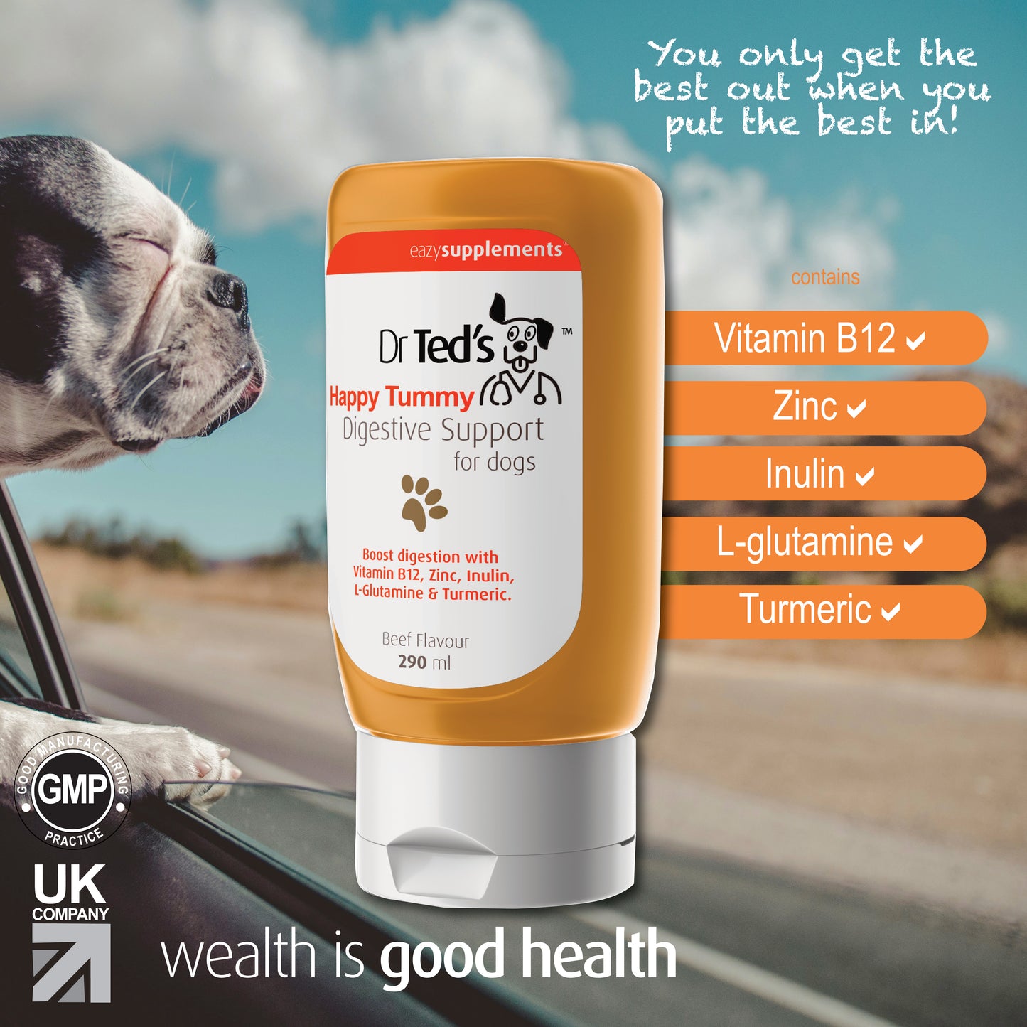 Dr Ted's Happy Tummy - a Digestive Support supplement for dogs