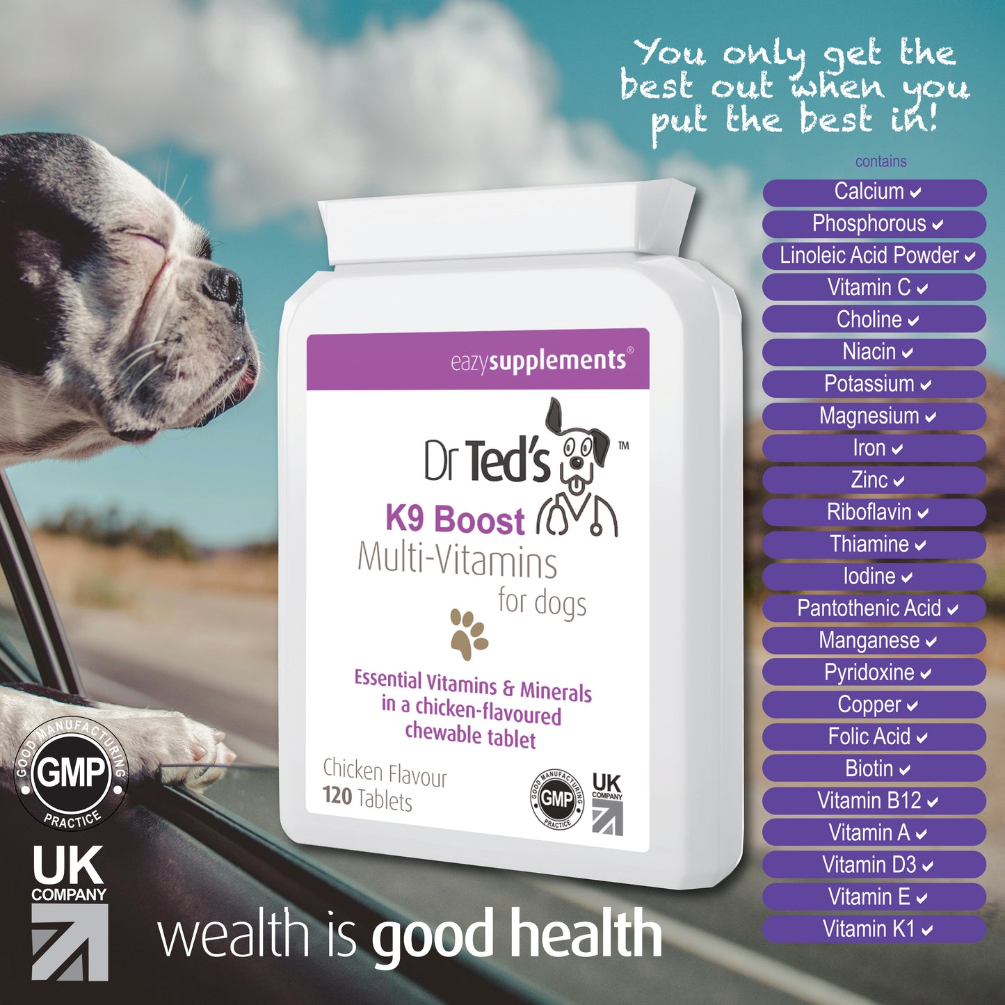 Dr Ted's K9 Boost - Multi-vitamin supplement for dogs