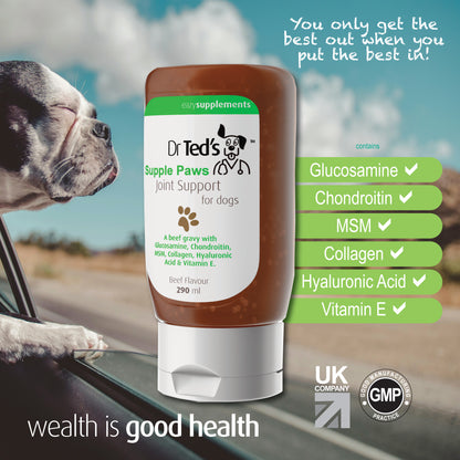 Dr Ted's Supple Paws - Joint Supplements for Dogs UK