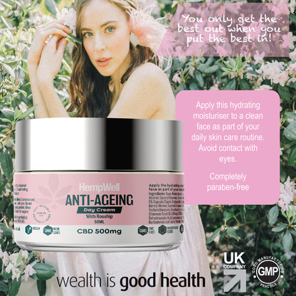 HempWell CBD Anti Ageing Day Cream with Rosehip 500mg | 50ml Glass Jar