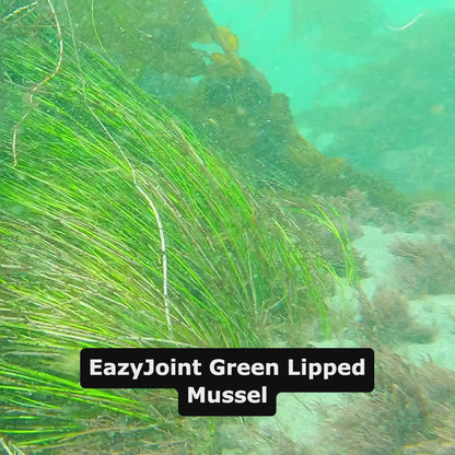 eazyJoint Green Lipped Mussle + Vitamin C